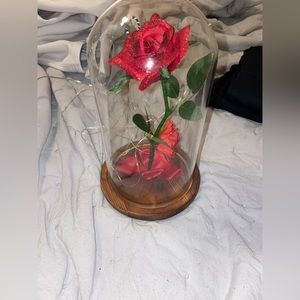 Beauty and the Beast rose in glass